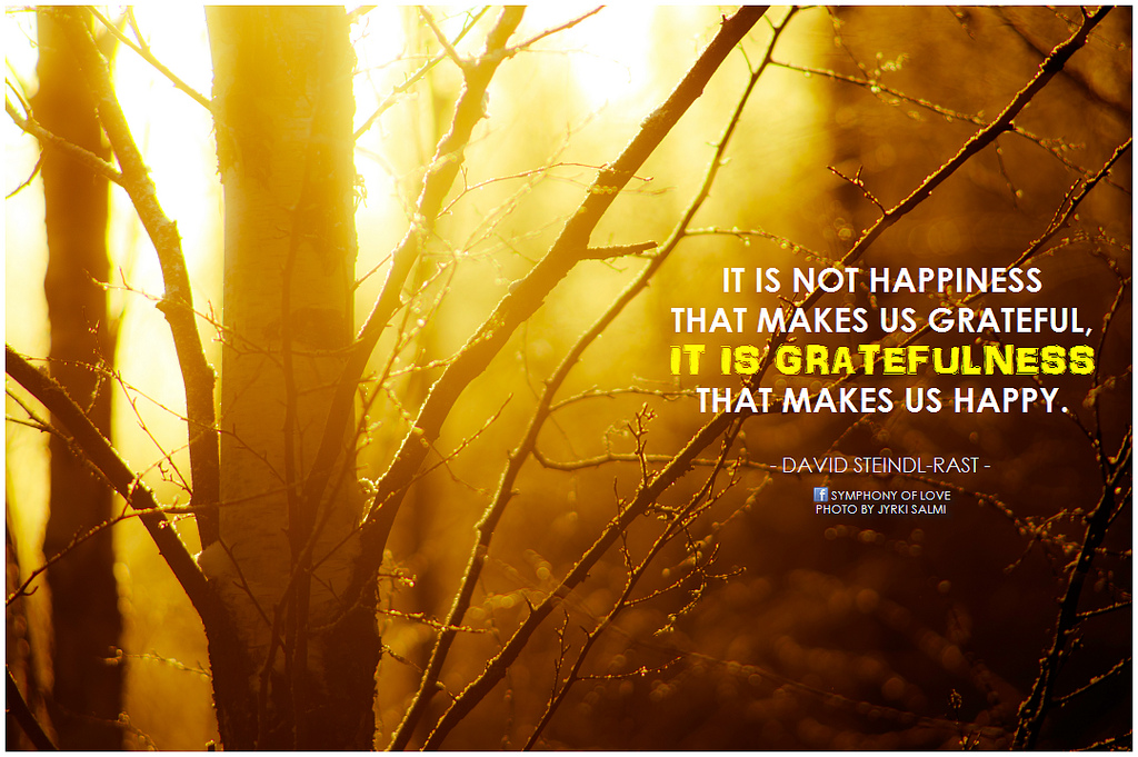 David Steindl-Rast It is not happiness that makes us grateful, it is gratefulness that makes us happy