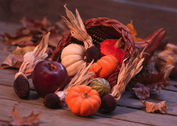 Cornucopia of Foods from Autumn Harvest - Microsoft Clipart