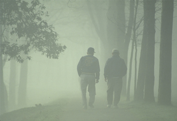 Men Walking in the Woods