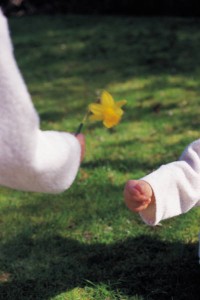Giving flowers - MSN clipart