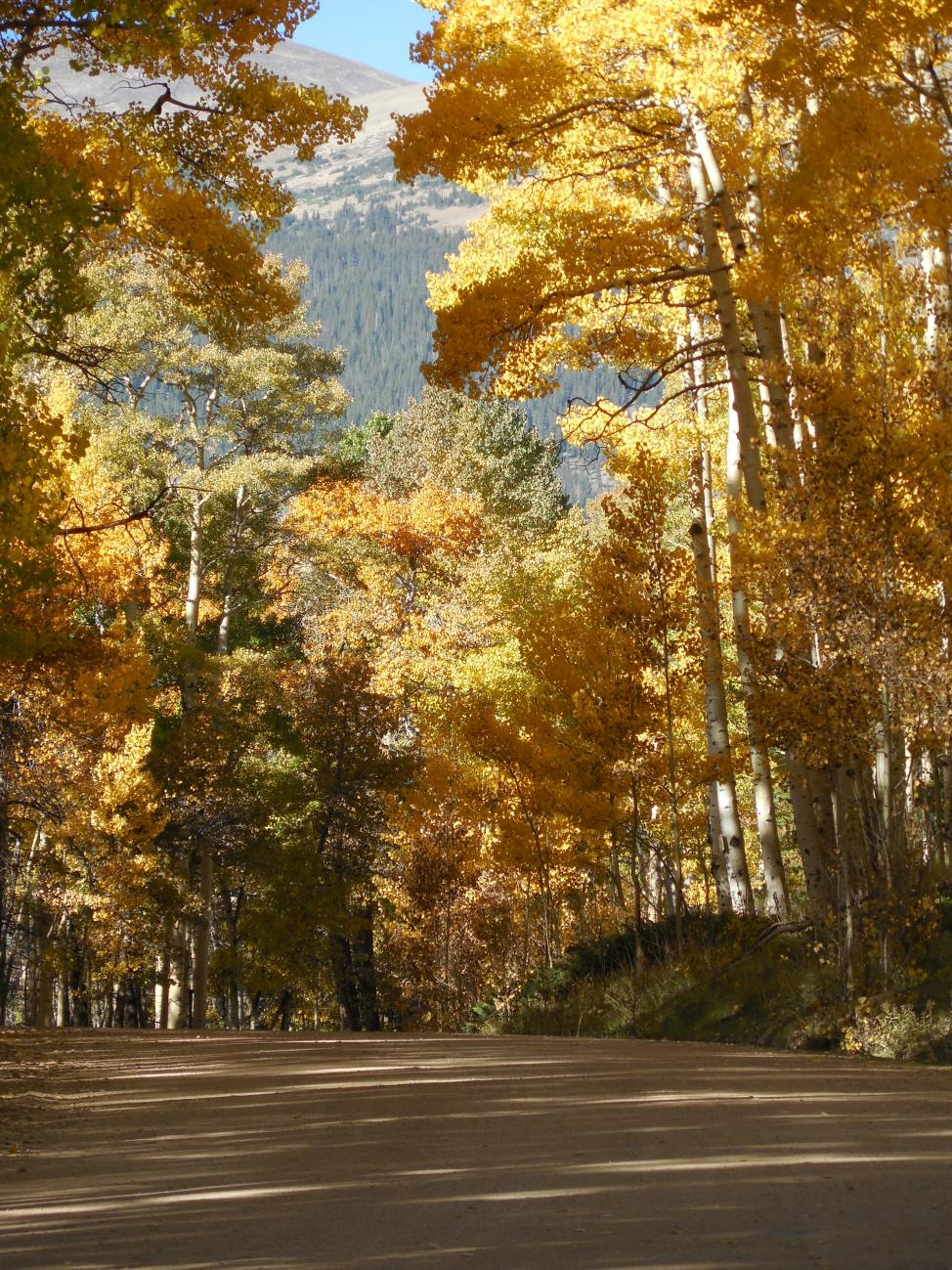 Fall colors in the Rockies 2013 (20) compressed