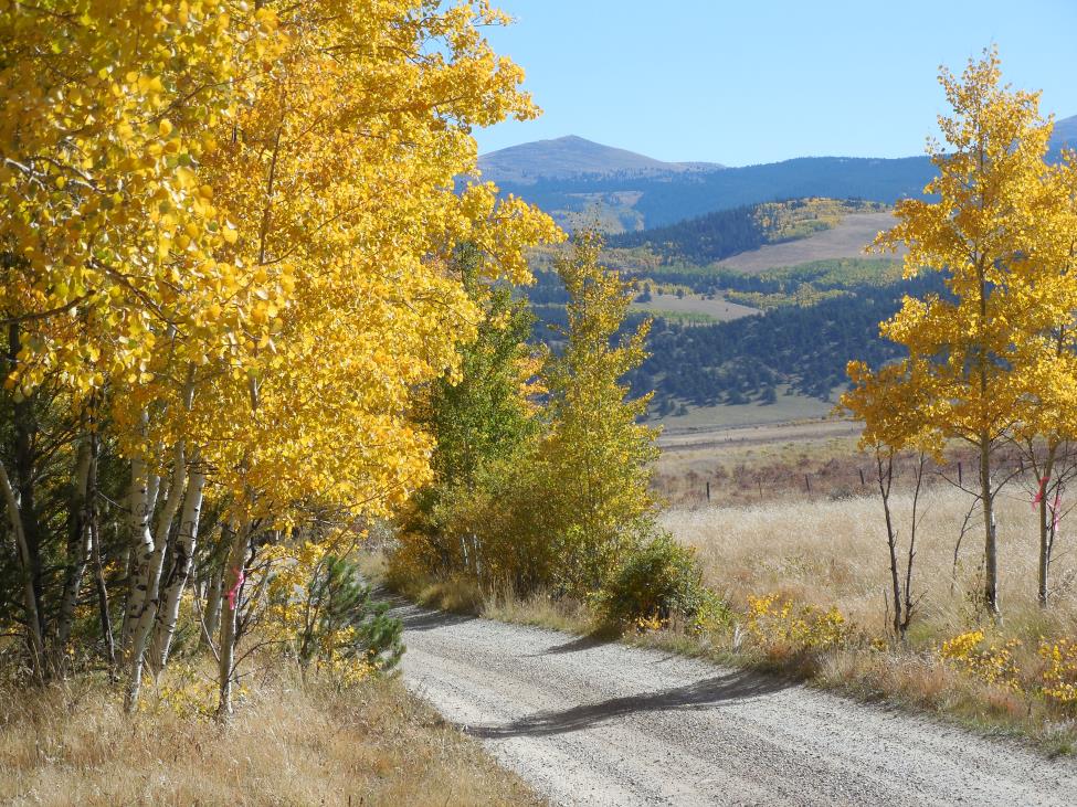 Fall colors in the Rockies 2013 (38) compressed