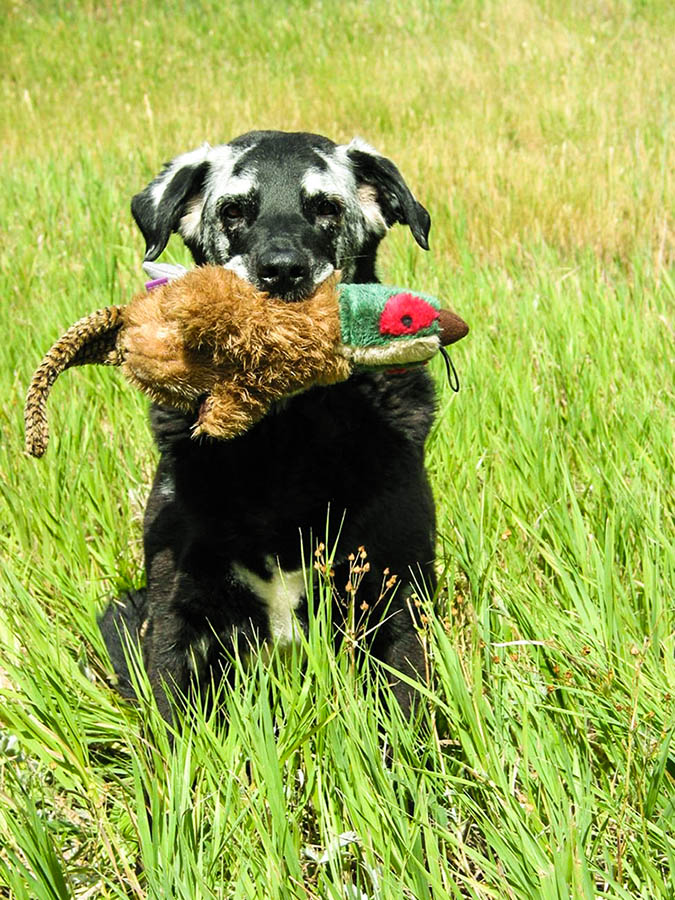 Riley and stuffed toy