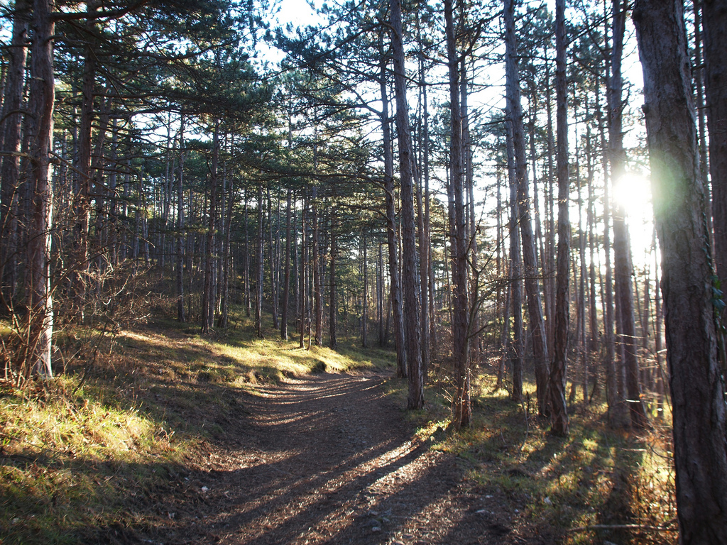 Footpath Footpath