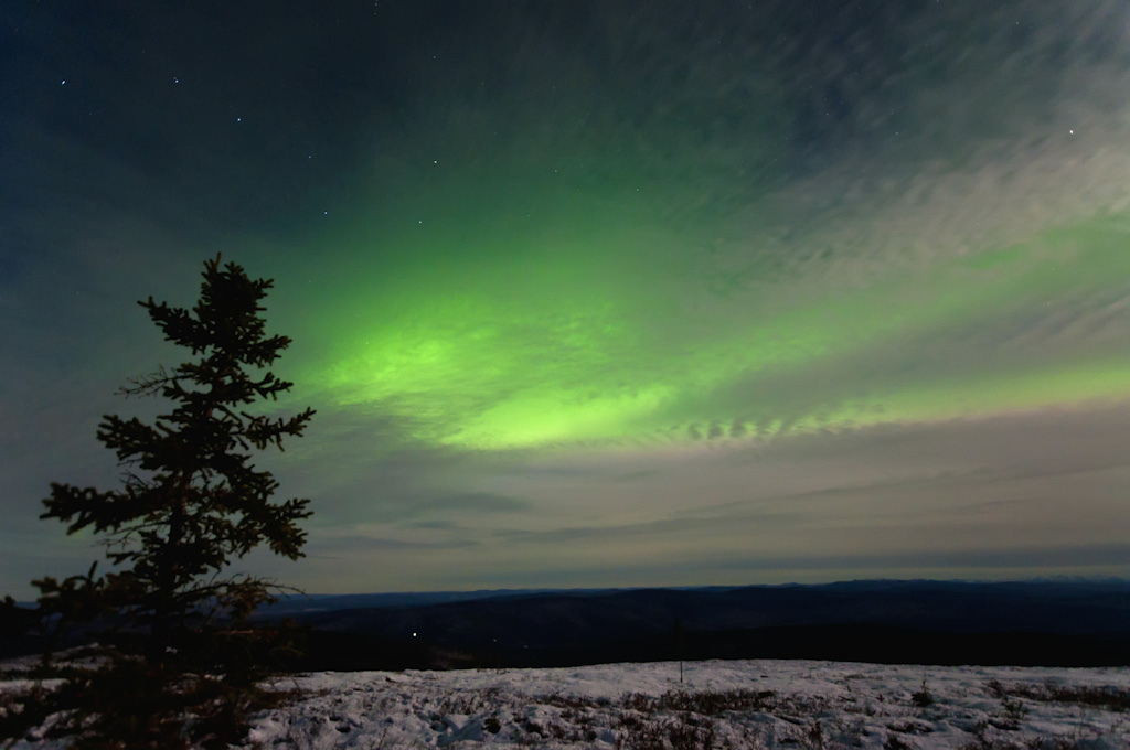 Aurora Aurora