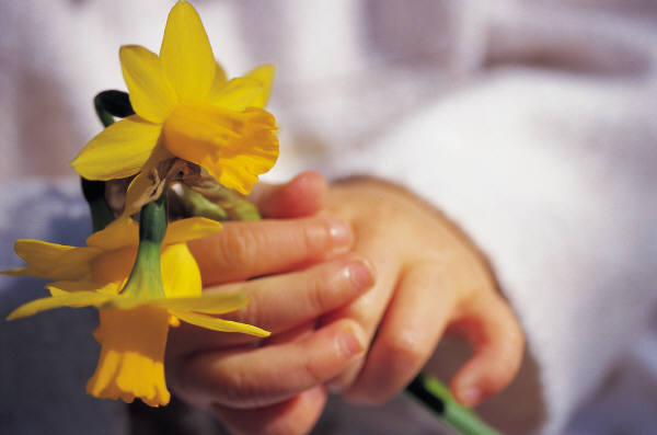 Children-daffodils-flowers