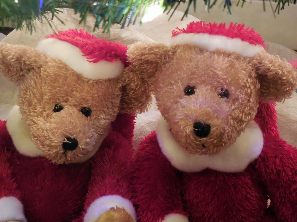 Christmas Bears