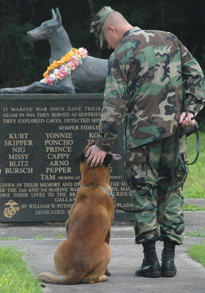 Always Faithful, Doberman, Military Working Dog, MWD, World War II Memorial, War Dog Cemetery located on Navel Base Guam - Courtesy of PhotoDropper